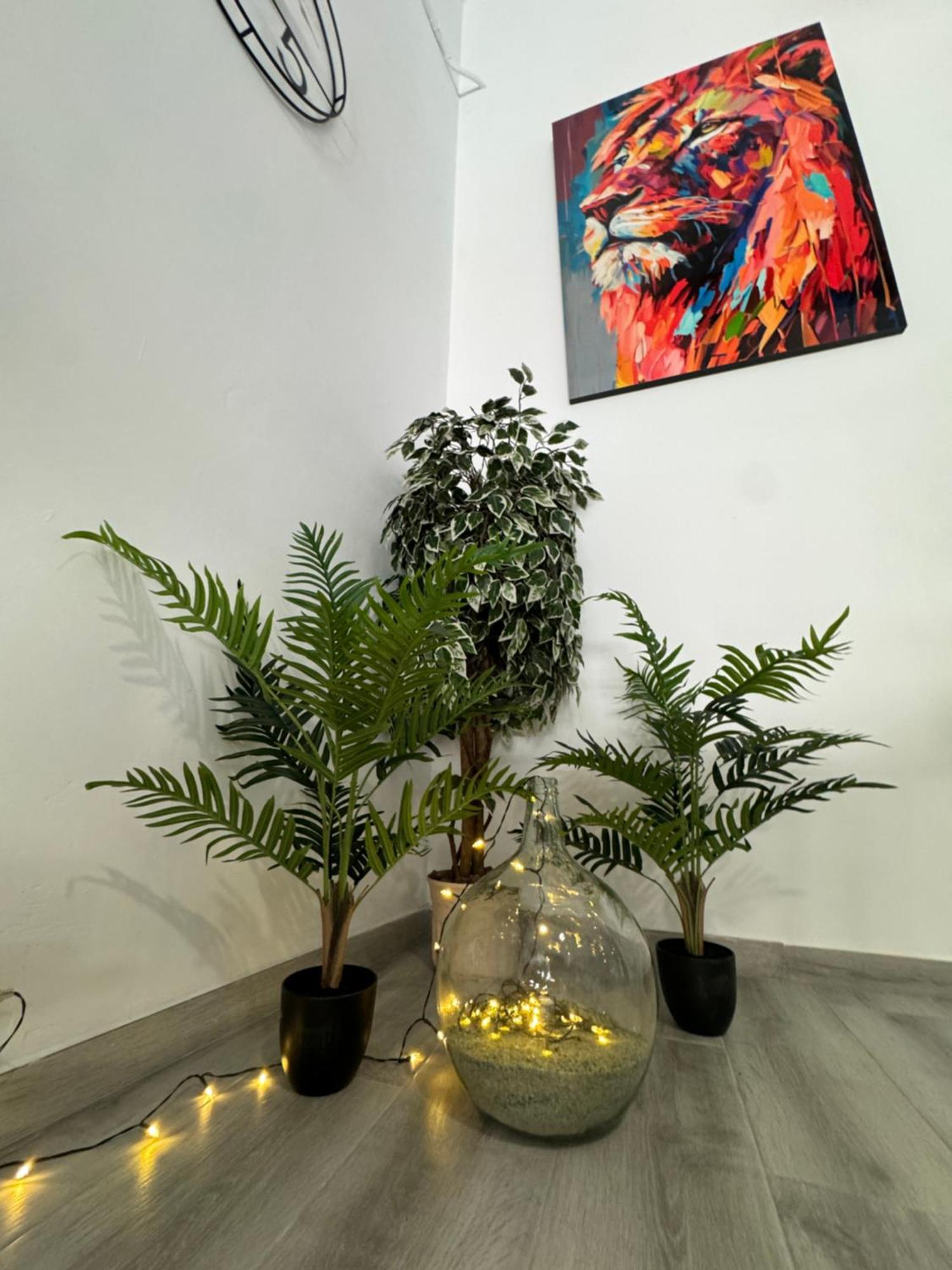Dream Loft Sc Santa Cruz de Tenerife